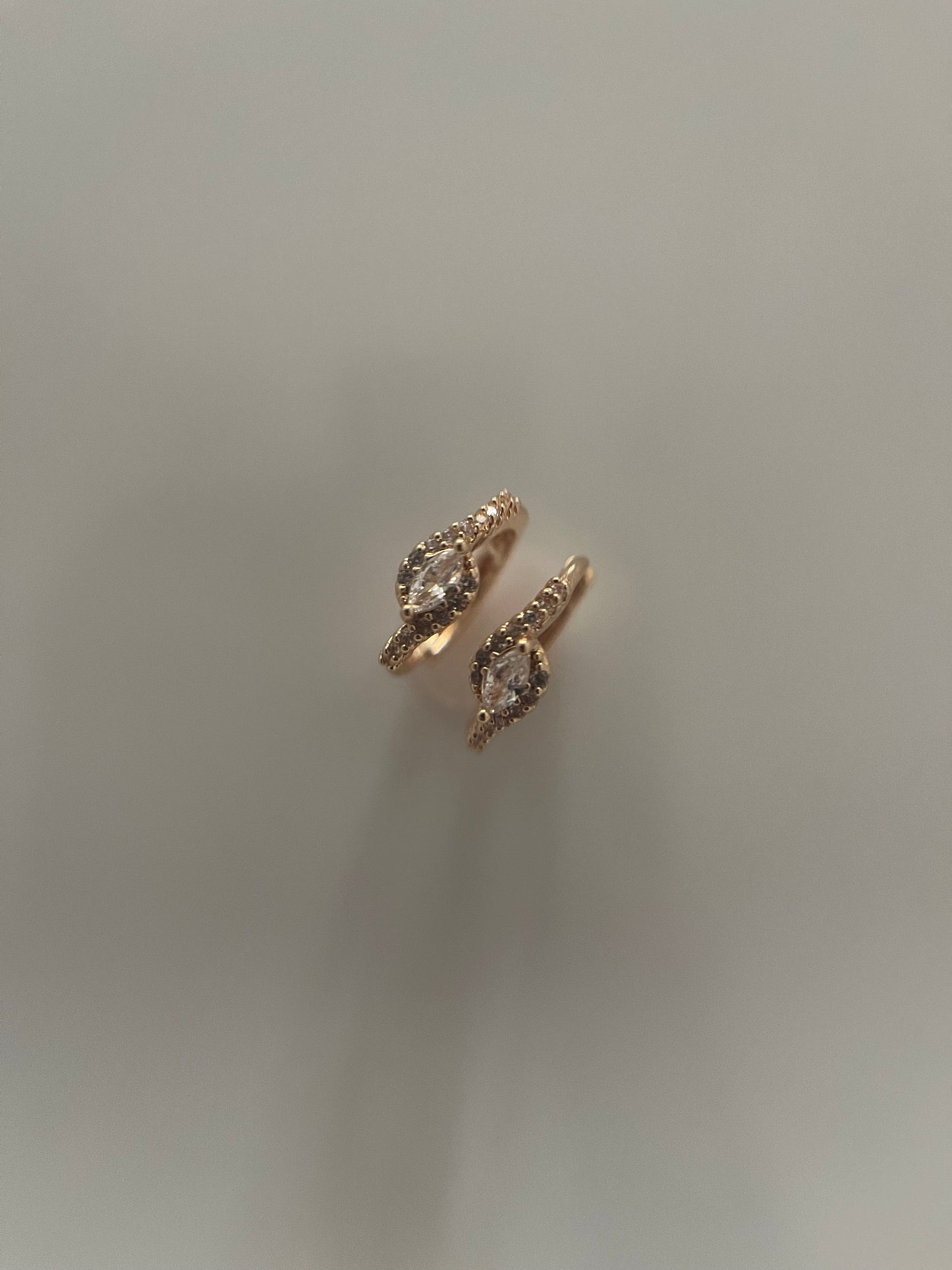 Remi Hoops