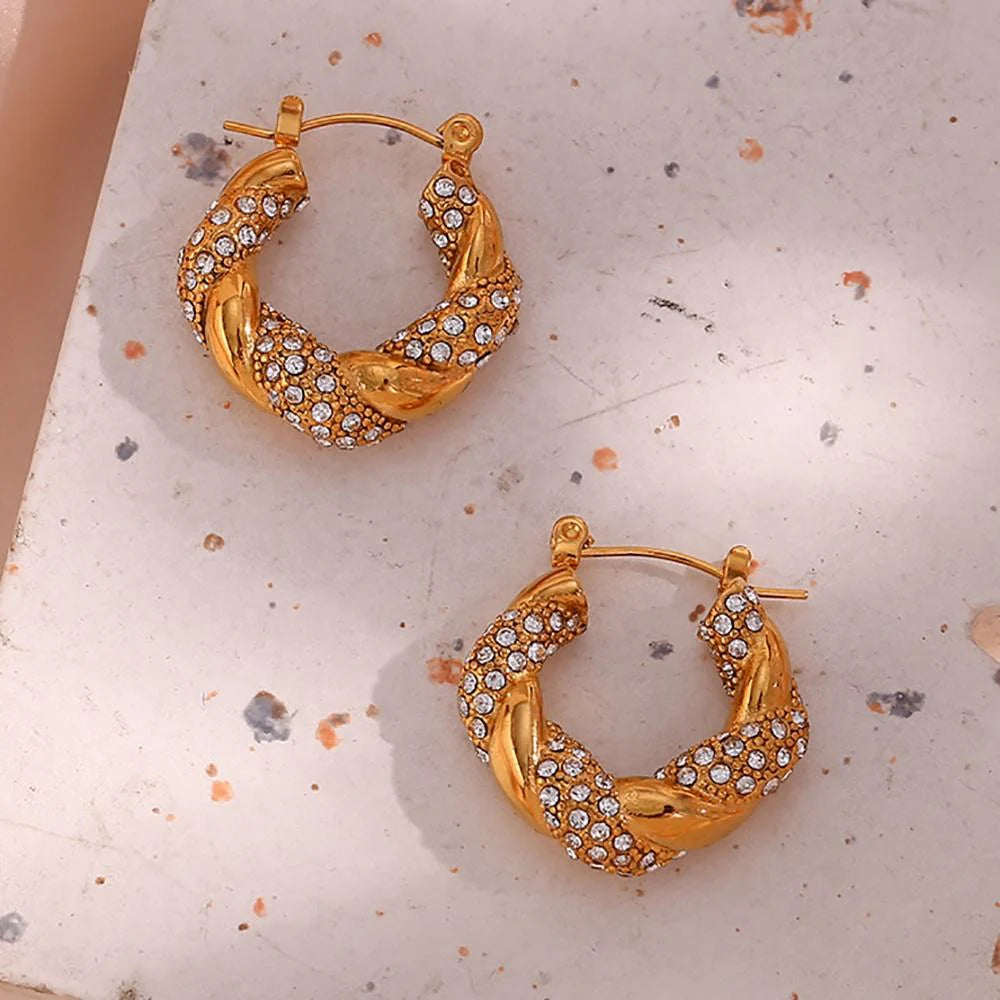 Twisted Shine Earrings